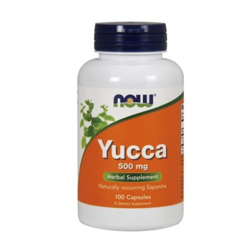 yucca.jpg