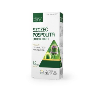 MEDICA HERBS SZCZEĆ POSPOLITA EXTRACT 60kaps / 500mg - suplement diety