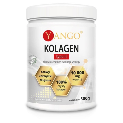 kolagen-typu-ii-300g.jpg
