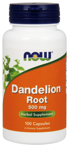 dandelion_now_new.png